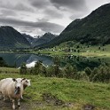 Norvegia 011 0502 come oggetto avanzato-1